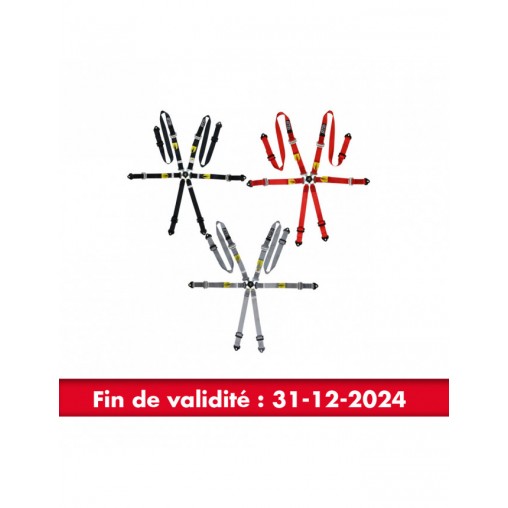 Harnais Berline GT2i PRO V2 FIA 31/12/2024 Harnais Berline GT2i PRO V2 FIA 31/12/2024
