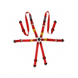 Harnais Berline GT2i PRO V2 FIA Harnais Berline GT2i PRO V2 FIA