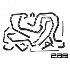 Pro Hoses Ancillary Hose Kit for Focus RS Mk1