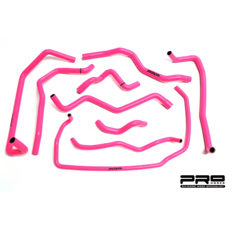 Pro Hoses Ancillary Hose Kit for Focus ST170