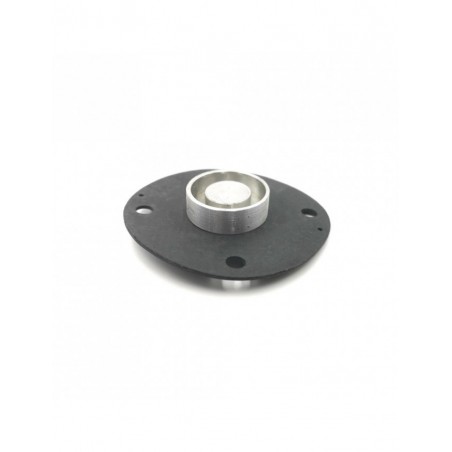 Membrane de remplacement pour régulateur King FK85