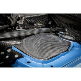 Carbon Fibre Induction Kit for BMW M3 F80/M4 F82 Carbon Fibre Induction Kit for BMW M3 F80/M4 F82