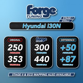 Hyundai i30N and Veloster N Remap (Stage 1 and 2 Available)