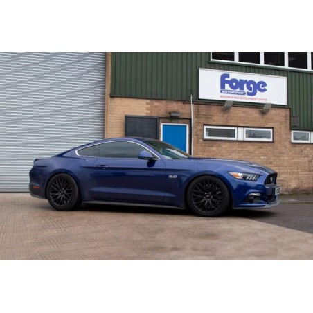 Ford Mustang 5.0 Remap (Etape 1 et 2 disponible)