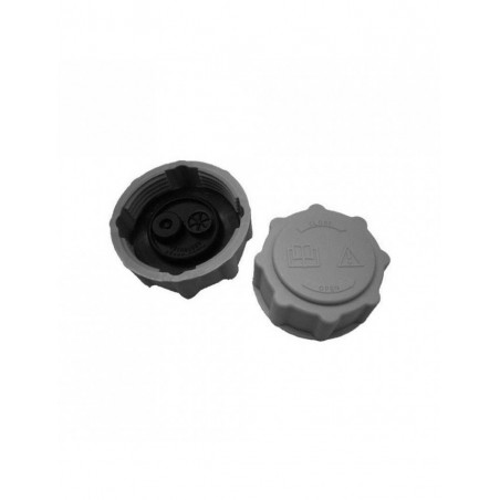 Bouchon vase expansion adaptable Ford