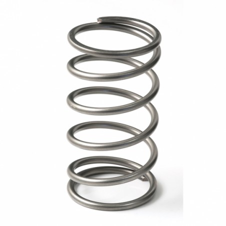 GFB EX50 13psi spring (outer)