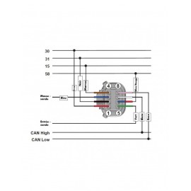 Câble 8 Pin VDO SingleViu