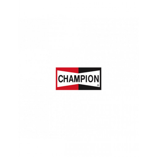 Sticker Champion 20x10.5cm
