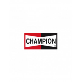 Bannière Champion 154x80cm