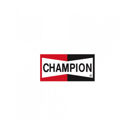 Bannière Champion 154x80cm