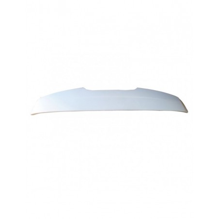 Aileron Fibre type Renault Clio SUPER 1600