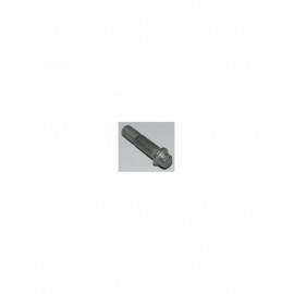 Boulon AP RACING 0.25"UNF x 1.19" Torx