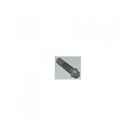 Boulon AP RACING 0.25"UNF x 1.19" Torx