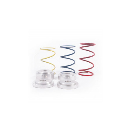 Ressort pour Dump valve Forge FMBM335DV1