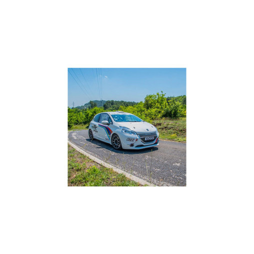 Pilotage sur Peugeot 208 RPS 140ch Pilotage sur Peugeot 208 RPS 140ch