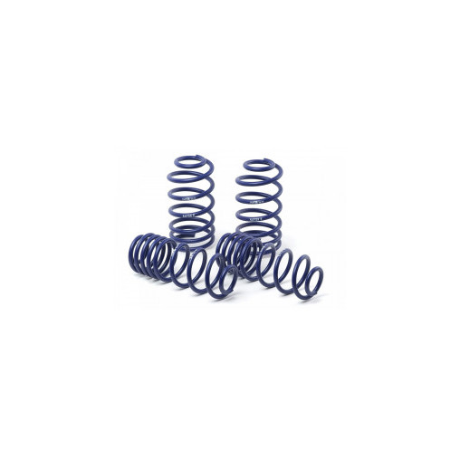 Kit ressorts H&R BMW X1 F48 -30/25mm Kit ressorts H&R BMW X1 F48 -30/25mm