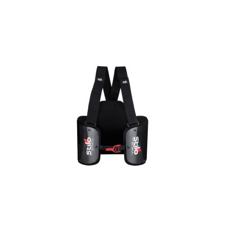 Protège côtes Stilo Carbon Curva FIA