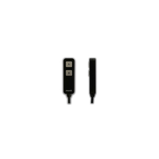 Télécommande manuelle 2 boutons Monit Télécommande manuelle 2 boutons Monit