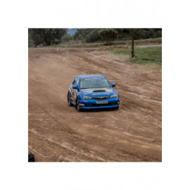 Pilotage Subaru 2.5L STI 320ch - Terre Pilotage Subaru 2.5L STI 320ch - Terre