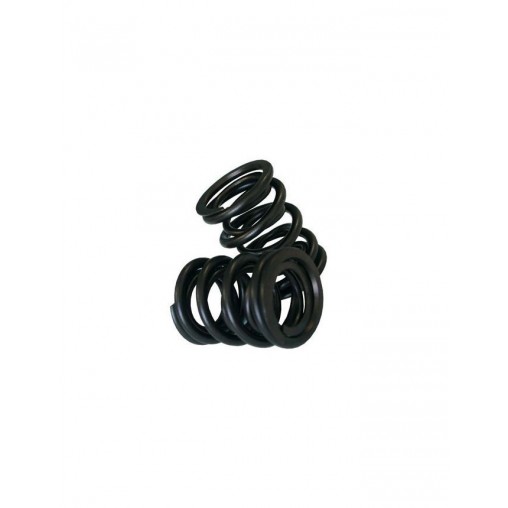 kit Ressorts de soupape CAT CAMS Extérieur L38.7 Diamètre Intérieur 16.5 Extérieur 30.4 (pièce)