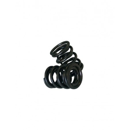 kit Ressorts de soupape CAT CAMS Extérieur L38.7 Diamètre Intérieur 16.5 Extérieur 30.4 (pièce)