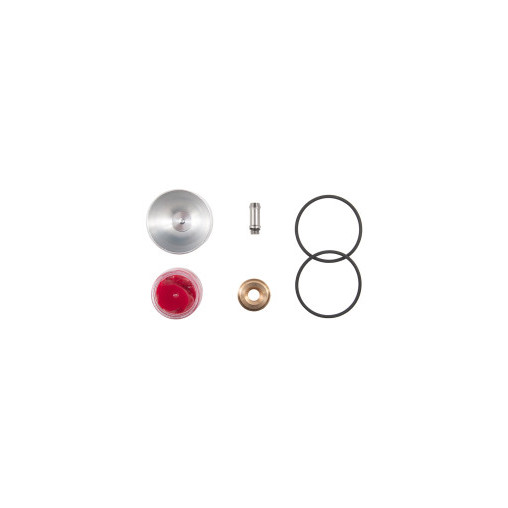 Kit d'entretien pour wastegate à piston Forge