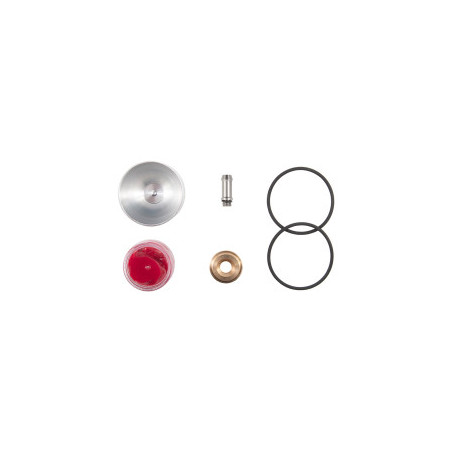 Kit d'entretien pour wastegate à piston Forge