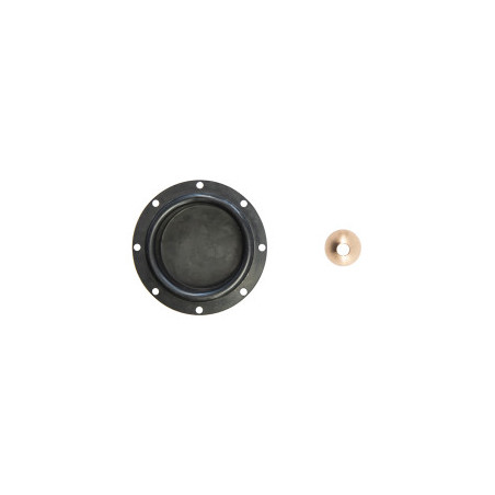 Kit de réparation de wastegate 048 Forge