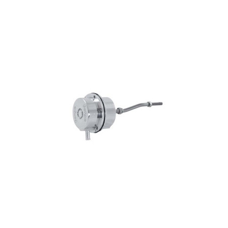 Wastegate réglable Forge pour Ford Fiesta RS