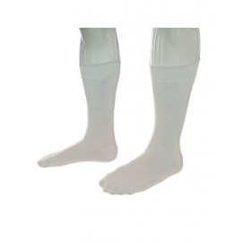 Chaussettes GT2i PRO