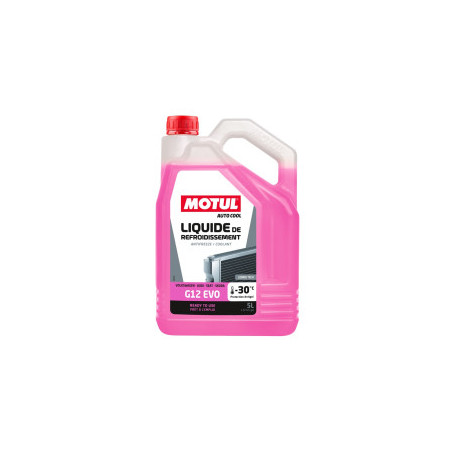 Liquide de refroidissement Motul G12 EVO -30°C (VAG) - Bidon de 5 litres