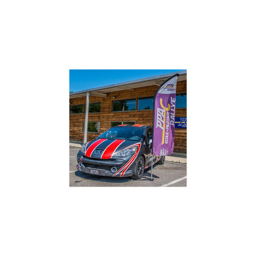 Pilotage sur Peugeot 207 RPS 215ch Pilotage sur Peugeot 207 RPS 215ch
