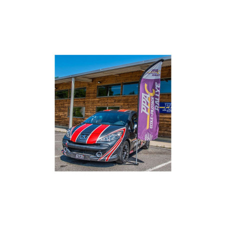 Pilotage sur Peugeot 207 RPS 215ch