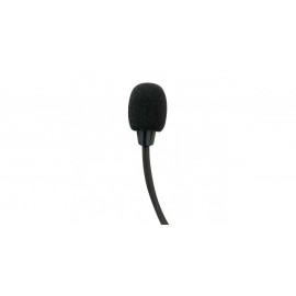 Pack 2x micro / haut-parleur + radio GT2i