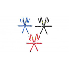 Pack harnais GT2i Race + siège baquet GT2i Club