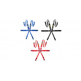 Pack harnais GT2i Race + siège baquet GT2i Club
