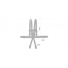Pack harnais GT2i Race + siège baquet GT2i Club