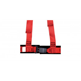Pack Harnais Routier GT2i 3 Points CEE 2"
