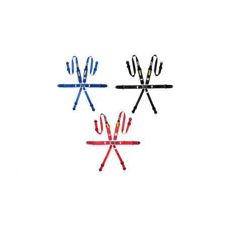 Pack 2x harnais GT2i Race 6 points