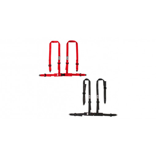 Pack 2x harnais GT2i Club 4 points CEE