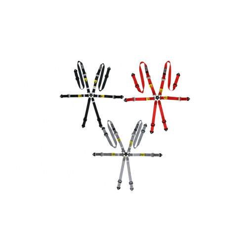Pack 2x harnais GT2i Pro V3