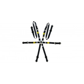 Pack 2x harnais GT2i Pro V3