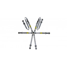Pack 2x harnais GT2i Pro V3