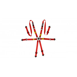 Pack 2x harnais GT2i Pro V3