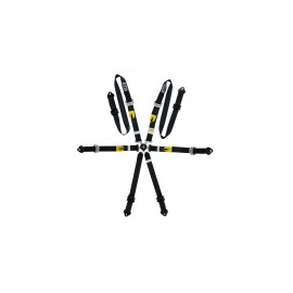 Pack 2x harnais GT2i Pro V3