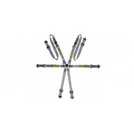 Pack 2x harnais GT2i Pro V3