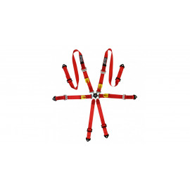 Pack 2x harnais GT2i Pro V3