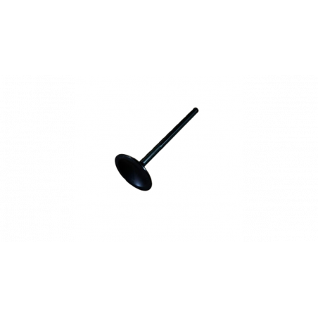 Soupape Acier Forgé EW10J4 Admission - 28537