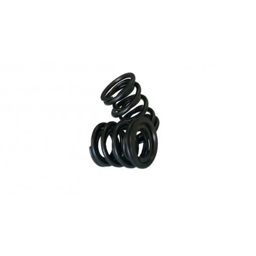 Ressorts de soupapes Double Kent Cams VS43