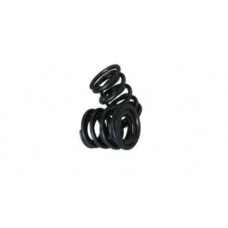 Ressorts de soupapes Double Kent Cams VS43
